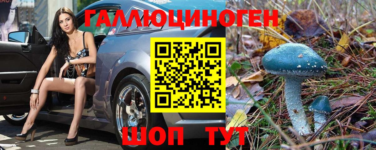 Галлюциногенные грибы GOLDEN TEACHER Ачинск