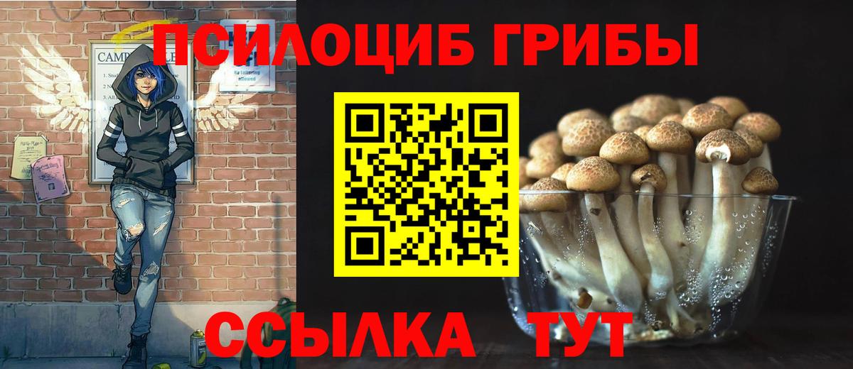 Галлюциногенные грибы Psilocybe  наркотики  Ачинск  Вход с VPN 
